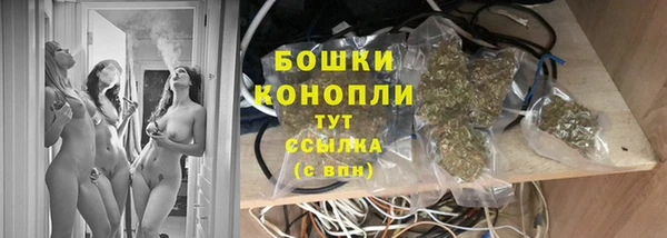 стафф Аркадак