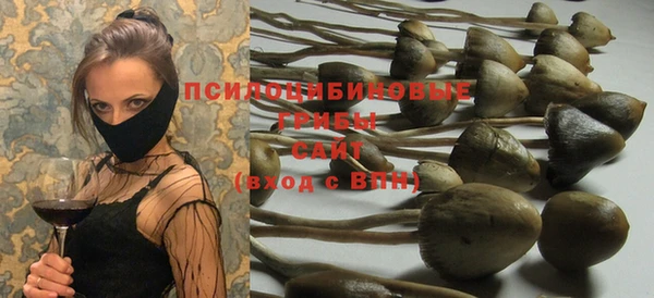 ГАЛЛЮЦИНОГЕННЫЕ ГРИБЫ Баксан