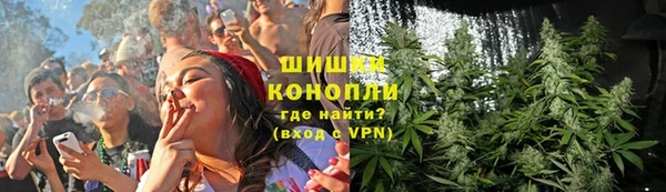 ГАЛЛЮЦИНОГЕННЫЕ ГРИБЫ Баксан