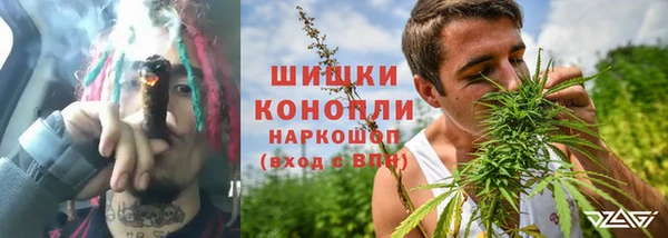 ГАЛЛЮЦИНОГЕННЫЕ ГРИБЫ Баксан