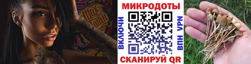 Псилоцибиновые грибы мухоморы Покров
